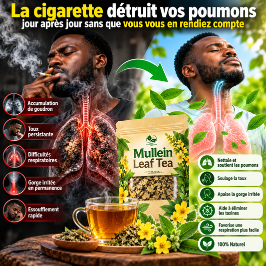 Thé de désintoxication pulmonaire à base de plantes - Respirez plus facilement