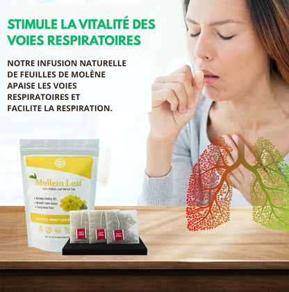 Thé de désintoxication pulmonaire à base de plantes - Respirez plus facilement